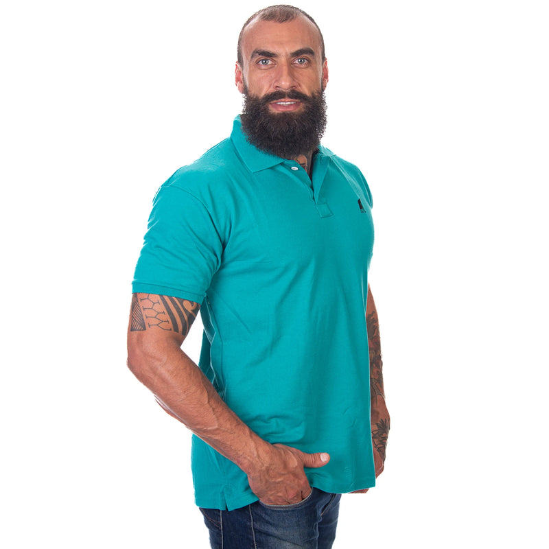 Camisa Gola Polo Masculina Básica Casual